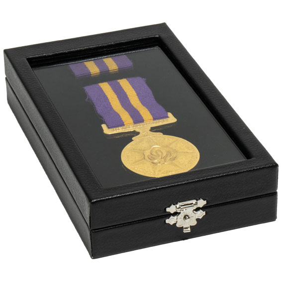 155W large rectangular clear lid leatherette medal display case.jpg