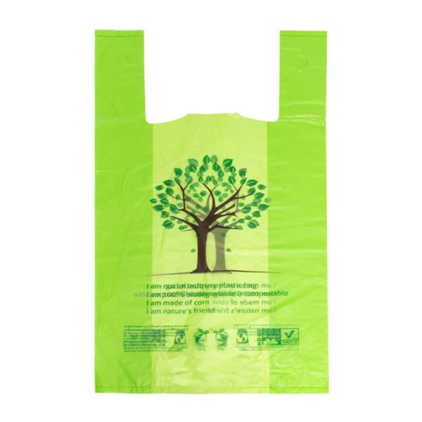 FVCB46 G compostable biodegradable medium singlet produce bag 250x460mm green.jpg