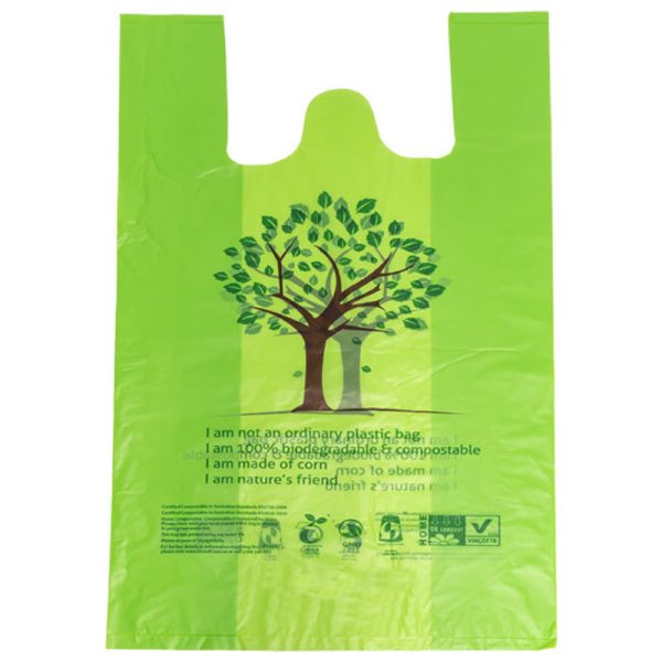 FVCB52 G compostable biodegradable large singlet produce bag 300x520mm green.jpg