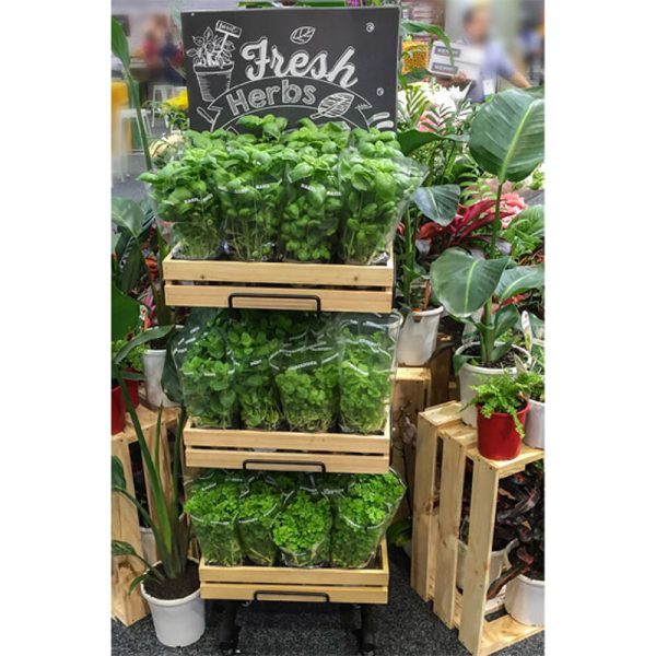 WC3F P premium flat crate stand set filled with potted herbs natural.jpg